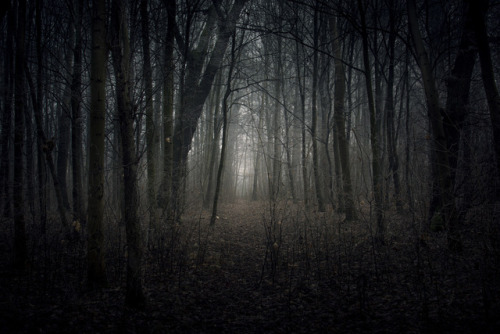 adriankulik:Nightmare.