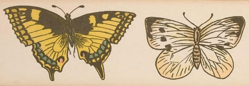 clawmarks: Nimm mich mit! : Ein lehrreiches Bilderbuch - c.1900 - via Internet Archive