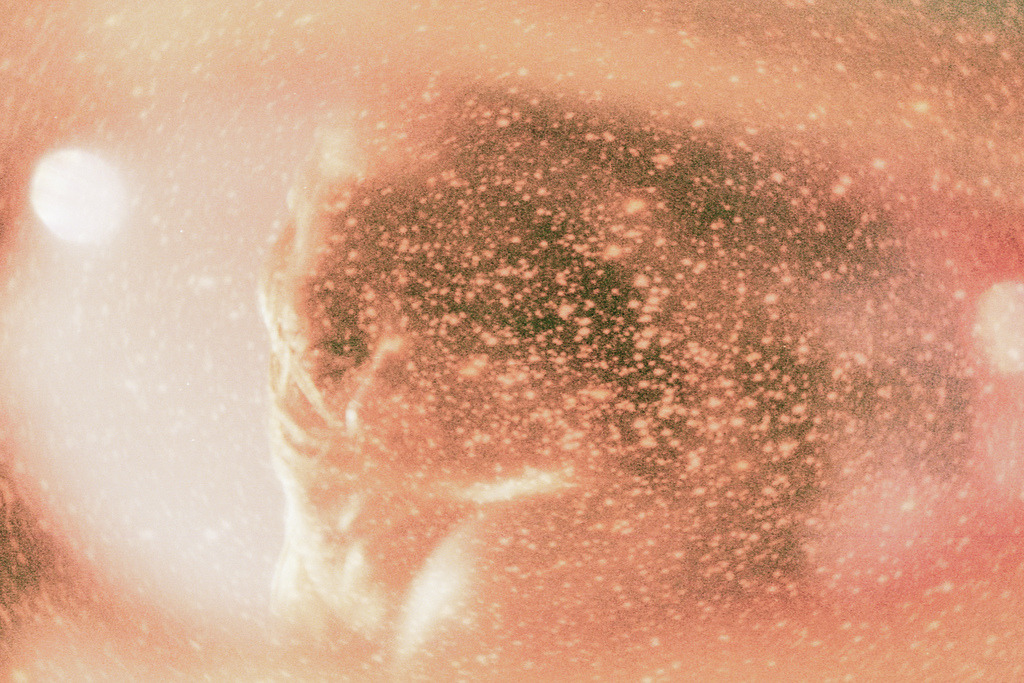 foxmouth:  Double Exposure Photography by Robert Moses Joyce 
