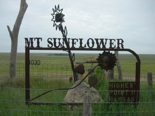 Mount Sunflower: the highest point in the state of Kansas (4,039 feet above sea level)