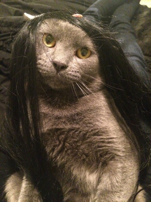 inhaleaggression:  Who is she