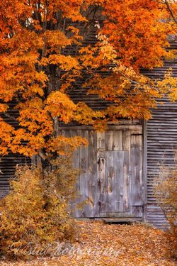 autumns-glory:  Autumn - Country Style 