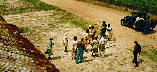 joewright:Female cinematographers: Rachel MorrisonMudbound (2017)Directed by Dee Rees“I mean to me e