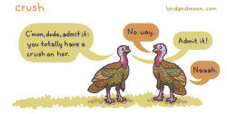 birdandmoon:  A new goofy thing about the wild turkeys I’ve seen (and heard) this spring. Here’s this comic on my site. Thanks for your comments on my last post — so interesting! 