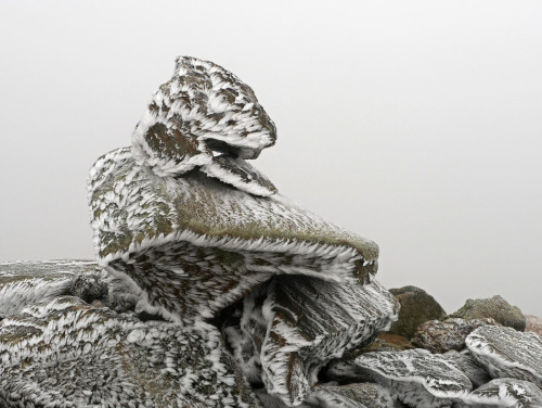 brownpaperhag:90377:Ben Ledi ice crystals by Niall Corbet@rotmance