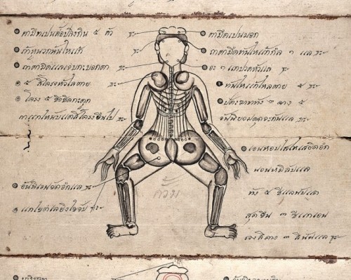 nobrashfestivity: A guide to pressure points for use in ‘Thai Yoga Massage’. 1850