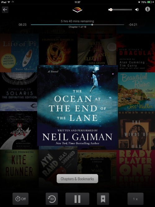 Day 29) Water Book Cover
Audiobooks totally count as books and Neil Gaiman is just as wonderful a reader as he is a writer.