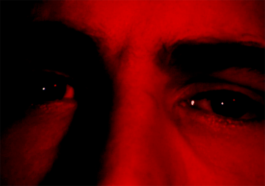 The Neon Demon (2016) Dir. Nicolas Winding RefnJonh Wick (2014) Dir. Chad Stahelski, David LeitchDarkest