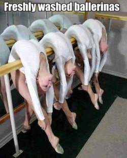 redditfront:  Freshly washed ballerinas -