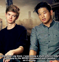 dailygladers:  Did you injure your knee?