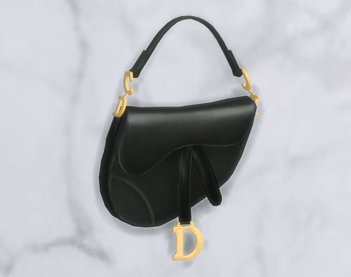 platinumluxesims: DIOR SADDLE BAG VOL.1 - Brand new &amp; Original mesh by me- Wall Deco Object&