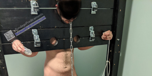 Another electrifying experience, Part 3So continuing through this session after Part 2,  since my sub had already knocked all of the coins off of the platform,  his cock being electro-punished for each and every one of them that  dropped…it was