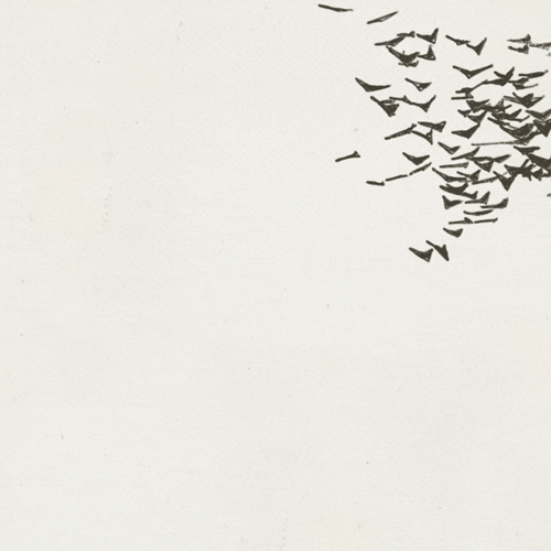 dave-strick:flock