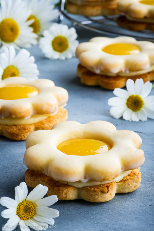 sweetoothgirl: Daisy Lemon Curd Sandwich Cookies 