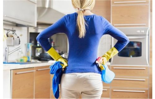 Ok, you said the kitchen is clean, let’s see. If I have to pull the trigger once on this bottle, or wipe anything with this cloth, … well you’d much rather I not finish that sentence.   Caption Credit: Uxorious Husband 