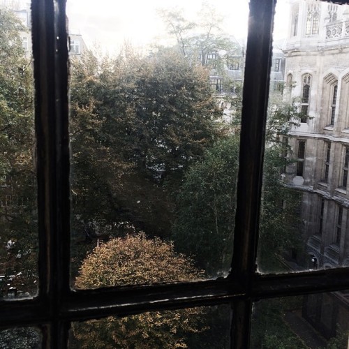 amyvnorris:so perfectly autumnal (at Maughan Library)