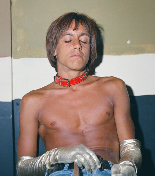 sicksabworld:  soundsof71:  Iggy Pop in dog collar and evening gloves, 1970,  by Frank Pettis  my ty