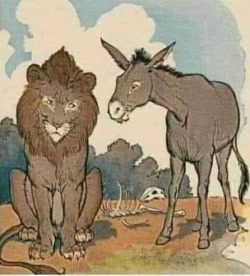 rev-another-bondi-blonde:The donkey told the tiger: The grass is blue. The tiger replied: No, the grass is green​.The discussion became heated, and the two decided to submit the issue to arbitration, and to do so they approached the lion. Before reaching