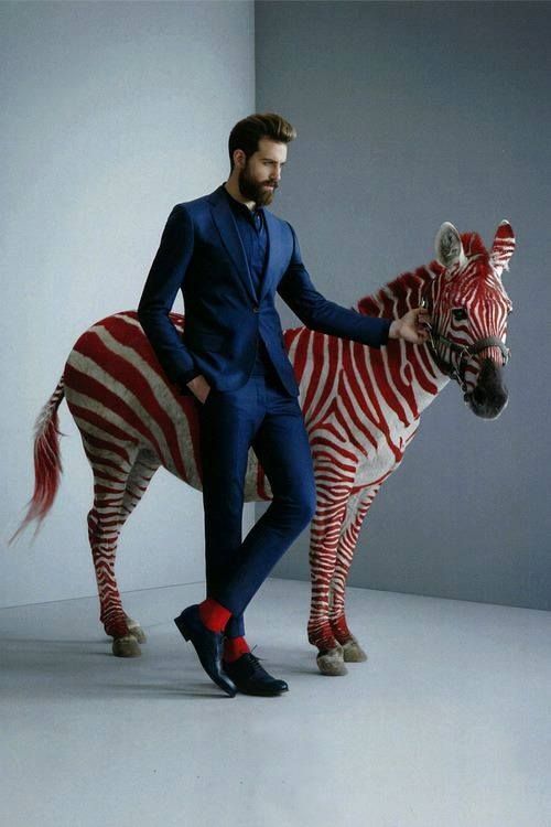 Red Zebrafound On Pinterest