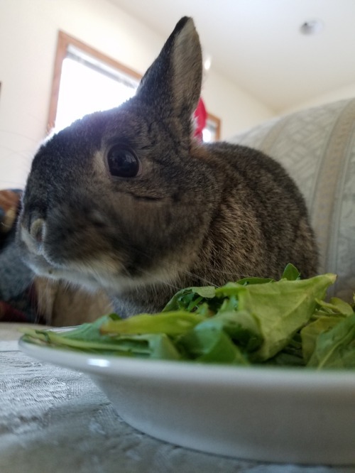 christmas snacks :)