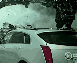 anonymous-sintax:  I was a very fine specimen…damn you Prime