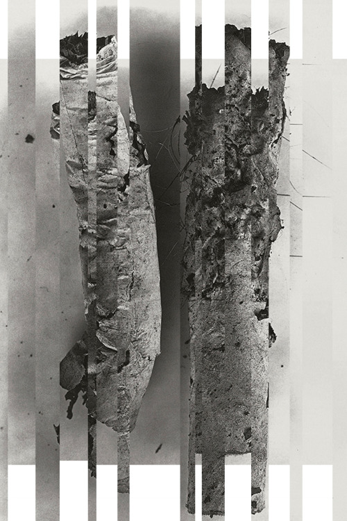 Exhibitions1975: Irving Penn: Recent Works, Photographs of Cigarettes, Museum of Modern Art, Ne