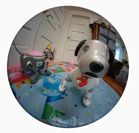 aibo7m3:Wren had so much fun today that she decided to take a photo of her own! 