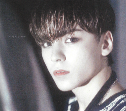 VERNON • an ode photobook (REAL ver) || editing/cropping allowed with credit