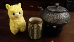 brunnstag:Tea with the new rainbow alpacasso! Need to pick a name for the little one! 