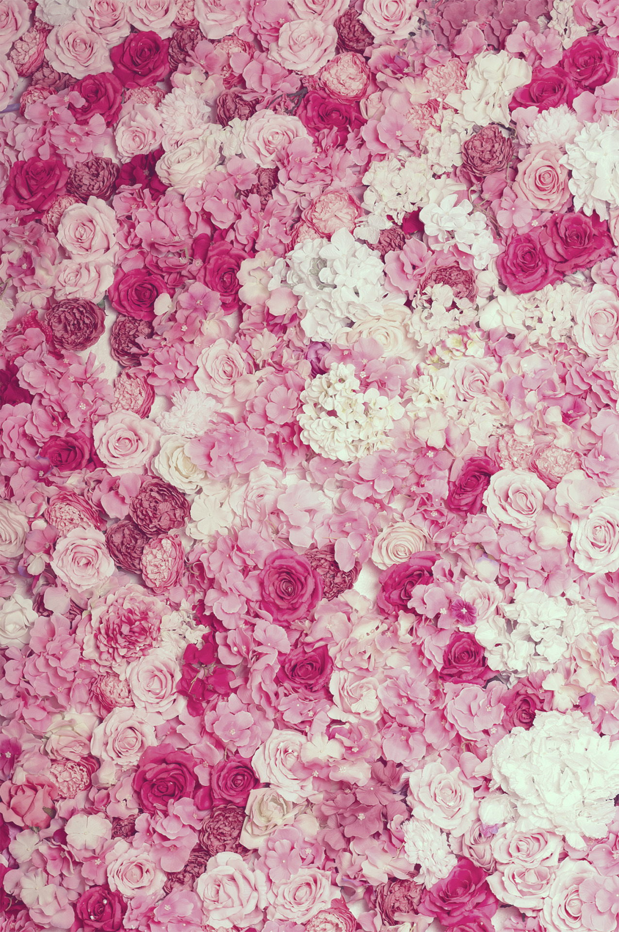 haajaa:  “The earth laughs in flowers.” ― Ralph Waldo Emerson.