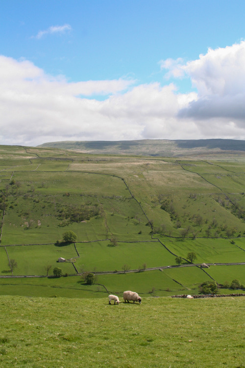 2006: Wharfdale in the Yorkshire Dales. So picturesque, it hurts. Well-exposed limestone bedding fro