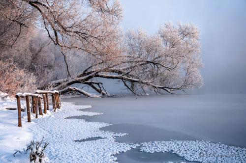 blissfully-winter: expressions-of-nature: Winter Morning : Anatoly Zverev all year round winter/xmas