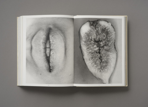 Sex idaloui:  Nobuyoshi Araki, Self, life, death by pictures