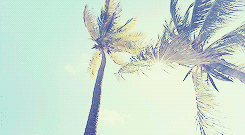 asheathes:  WIZARDING SCHOOLS AROUND THE WORLD: THE CARIBBEAN  The magic folk of