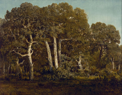 daughterofchaos:Théodore Rousseau,The Great Oaks of Old Bas-Bréau,1864