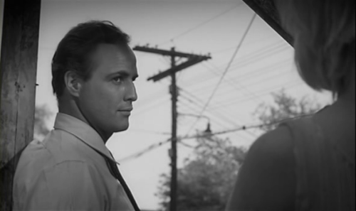 The Fugitive Kind (1960)