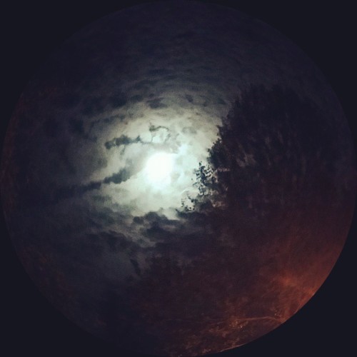 Last night&rsquo;s moon with fish eye camera setting #moon #fullmoon #ringaroundthemoon #moonhal