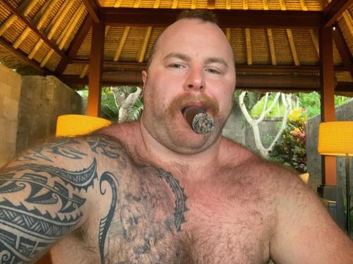 Relaxing, Writing, Chilling Out #bull #noneckbull #beast #beastmonster #musclebear #musclebearcigar #bigman