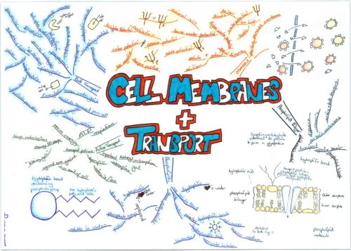 Cell Membrane and Transport Summary for 2015 MCAT.