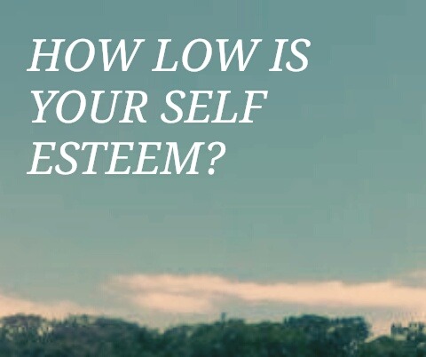 tfbquotes: Swimming Pool // The Front Bottoms