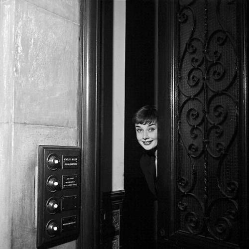 Audrey Hepburn / in her Mayfair flat / photos by Walter Carone, London, 1951.