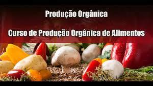 Benefícios da Produção de Alimentos OrgânicosAlguns benefícios são rapidamente percebidos com o cult