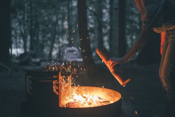 wakingupinnature:  Love Camping? Follow wakingupinnature!