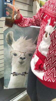 Did some fun shopping for my new place today. Aka buying a ษ dollar alpaca painting that gives me infinite joy.