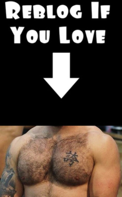 Supervillainl:  Reblog If You Love To Taste A Hairy Chest. 