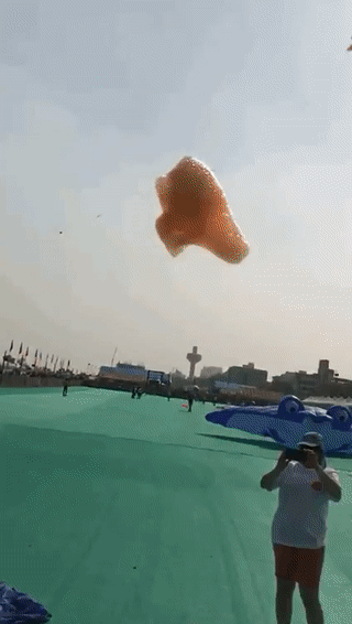 galaxycat-1459: sixpenceee: Bubble birds from here  This legit freaked me out for