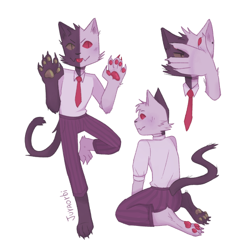 The Meow Meowification Of Ranboolive