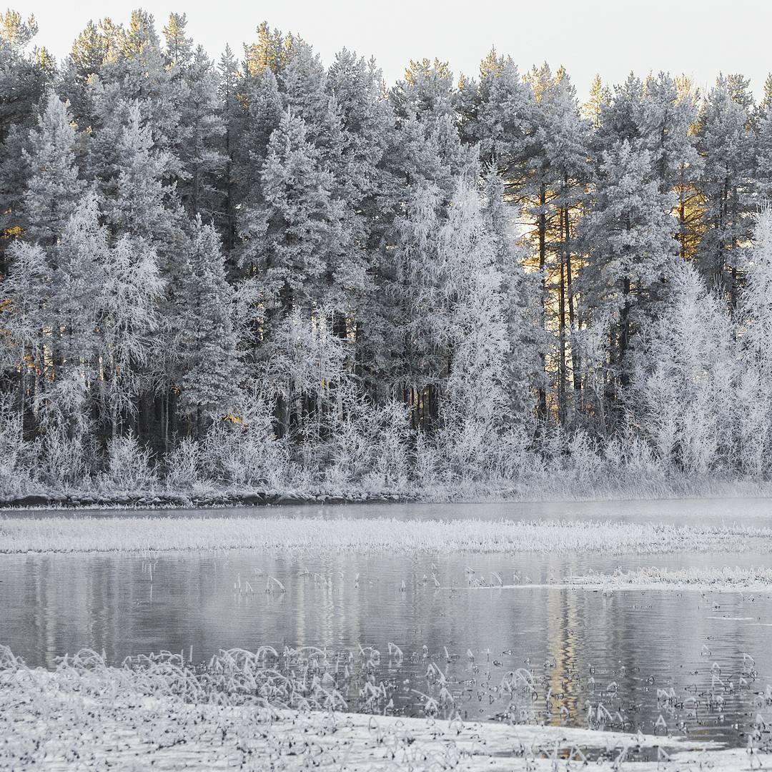 bon—-voyage:  Frida Lindgren 