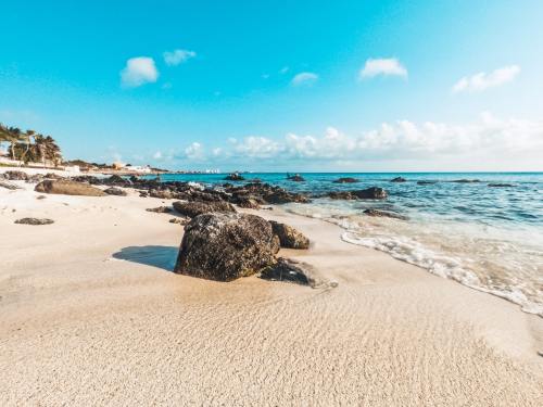 tropic-havens:  Palm Beach, Aruba