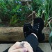 seidryewmystic:sitting at my fairy garden 🧚🏼🗡🌿